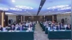 最疯狂的徒手无保护爬楼人!