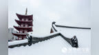 安徽阜阳：龙年初雪罩水街 银装素裹雪景宜人