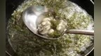 餐桌上的烟台年⑧牛毛菜海蛎子汤