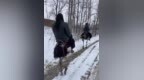 安徽一对姐弟雪中骑鸵鸟出行 父亲：它负重达200斤