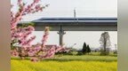 江西南昌：花海列车 与春日同行（图）