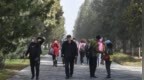 北京进入花粉过敏高峰期，市园林绿化局：人群密集区减少易致敏植物