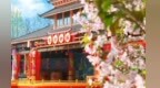 春游江淮丨芜湖的春天 藏着哪些不为人知的秘密？