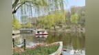 潍坊：盘活公园闲置空间，让城市“会客厅”“好看+实用”