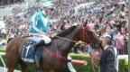 由快活谷赢到满利谷 扬威海外的中国香港马匹「浪漫勇士」