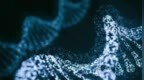 AI成功改写人类DNA，全球首个基因编辑器震撼开源！近5倍蛋白质宇宙LLM全生成