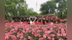 武汉和平公园第十六届月季节将于4月26日开幕