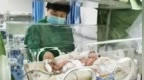 多地医院迎来“龙宝宝”生育小高峰，多家医院产科床位使用率回升