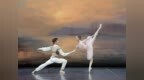 哈尔滨芭蕾舞团公布“高雅艺术进校园”哈尔滨市中小学专场惠民演出节目单