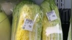 日本一棵白菜卖到100元人民币？在日华人：市场紧缺时出现过，现在便宜一些了