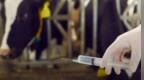 全球发现首个牛禽流感传人病例，会发生人际传播吗？