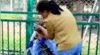 动物园捆绑幼虎让游客合影收费，四川宜宾林业局：此前制止过