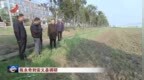 陳永奇在安義縣調研時強調：抓好春耕生產 發展特色產業 扎實推進鄉村全面振興
