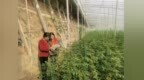 普及乡村金融知识 助力美好生活——广发银行潍坊寿光支行