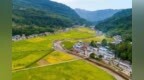 重庆聚焦七大方面巩固拓展脱贫攻坚成果