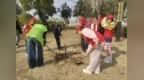 马鞍山市新城小学开展“学雷锋植新绿 共护生态家园”植树活动