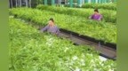 甘肃科技创新事业迎开门红