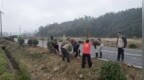 安徽休宁：不负春光“植”青绿 共绘生态新画卷