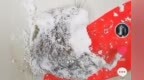秋田满满品牌面粉中发现疑似老鼠的异物？宜春市场监管部门介入调查