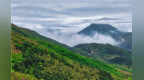 江西豐城：云霧升華山