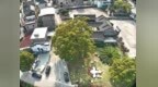 宁波成功运用3D高斯泼溅技术 古树古建有了专属三维画像