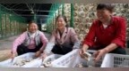瑞昌：小菌菇撐起“致富傘”（圖）
