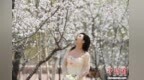 长春枝头花绽放 市民赏花享春光