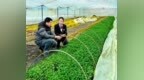 九江銀行：“貸”動特色農業產業 繪就鄉村振興新畫卷