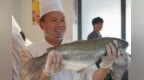 第二届烟台长岛“蓝色粮仓”海上丰收节暨“优质海洋蛋白”论坛及深远海溯源活动举行