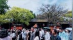成都武侯祠：古今交融绘就<em>文</em>旅亮丽图景
