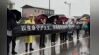 救人英雄高武魂歸故里 數十輛市民車輛一路自發送行