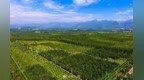 增厚“綠色家底” 宜春市完成人工造林10.7萬畝