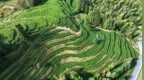 截止4月底 上饒全面完成今年早稻生產任務