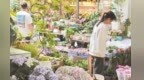 母親節(jié)臨近，南昌人“花”式寵媽！康乃馨、芍藥、蔬果花禮等成為熱門選擇