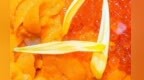 闫涛：大满足