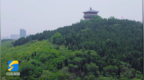 棗莊龜山公園滿目青翠 湖水碧綠宛如“綠野仙蹤”
