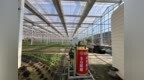 青島聯通數字新基建擘畫城市智慧新藍圖