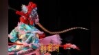 光影流轉間 梨園新秀綻放齊魯