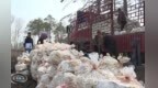 德惠市灵芝产业探索乡村振兴新路径