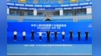 “生命之树”再迎盛事 第十五届全运会群众赛事网球预赛郑州开拍