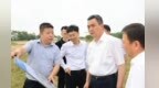 李红军在扬子洲镇调研：着力打造都市田园、幸福绿洲