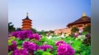 了不起的洛陽城！