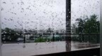 大雨暴雨！端午假期河南有明顯降水過程 需注意防范