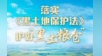 护好“黑土粮仓”，保护“耕地中的大熊猫”