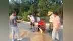 魯山縣：金穗歸倉展笑顏 振興路上步履堅