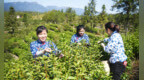 第二十一屆深圳文博會(huì)圓滿閉幕 贛州6個(gè)項(xiàng)目簽約超50億元