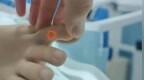 國內(nèi)每年超20萬人被蛇咬傷，怎樣才能及時(shí)用上救命血清,？