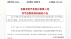 安徽一上市公司收到政府5399万元补贴