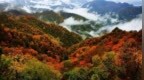 舉報(bào)破壞秦嶺生態(tài)環(huán)境行為，最高獎(jiǎng)勵(lì)10000元