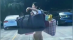高考結(jié)束挑行李回家的女生找到了,！班主任：她很刻苦樸實,，父親在外打工